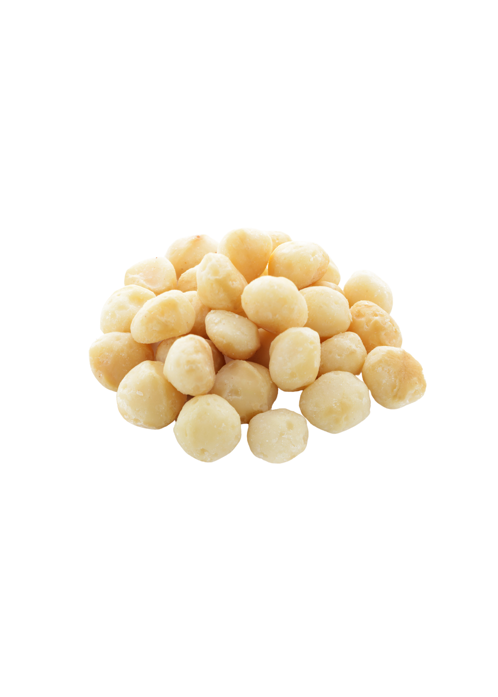 Salted Macadamia Nuts